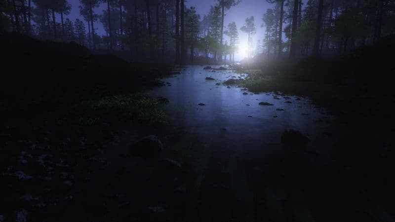 Dark Forest Water Stream Wallpaper
