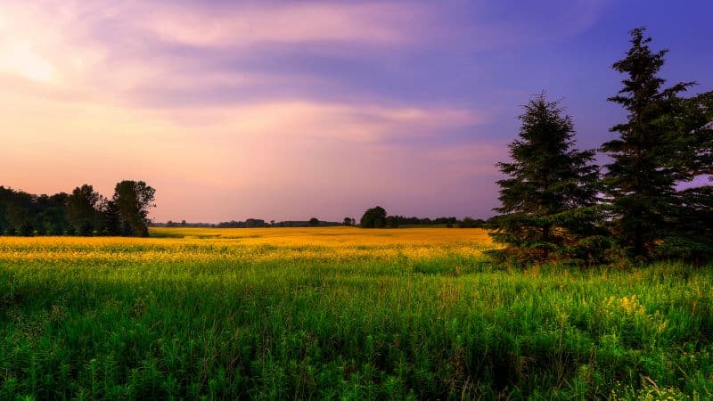 Farm Land Green Fields Wallpaper