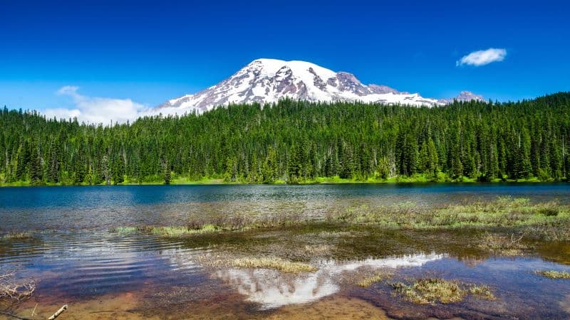 Mount Rainier National Park Washington State Wallpaper