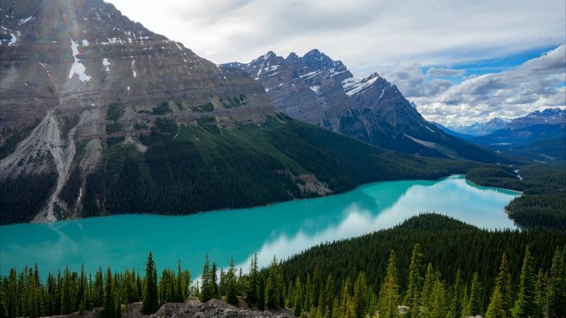 Peyto Lake Canada Wallpaper