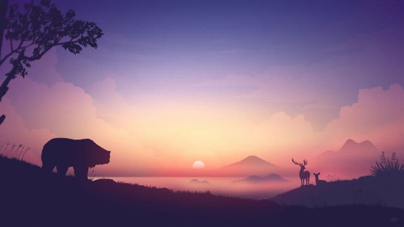 Sunrise Illustration Wallpaper