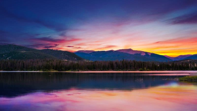 Sunset Forest Wallpaper