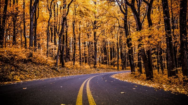 Shenandoah National Park Virginia Wallpaper