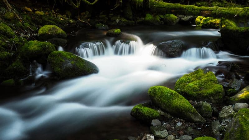 Bear Creek Colorado Wallpaper