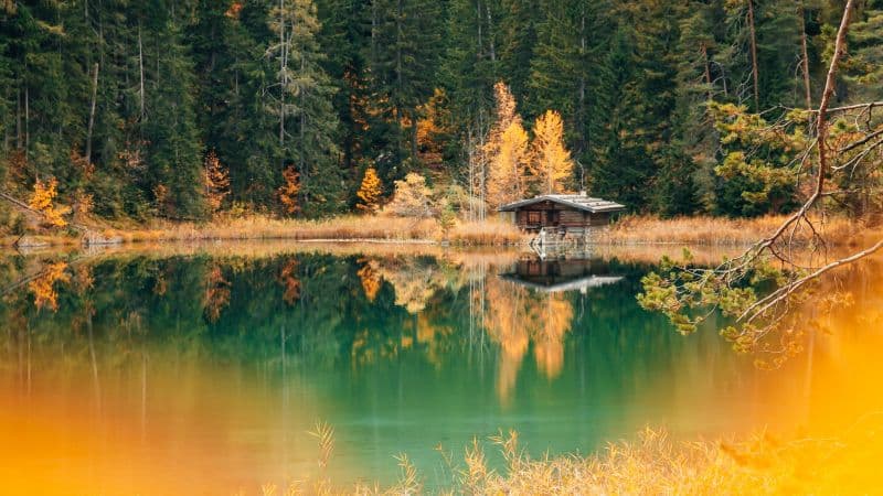 Lake house Forest Wallpaper