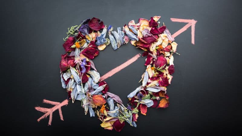 Love heart Petals Wallpaper