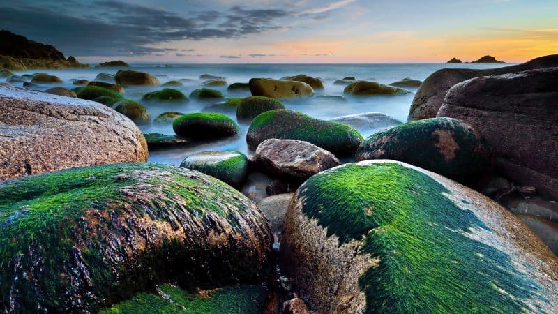Porth Nanven Cot Valley Wallpaper