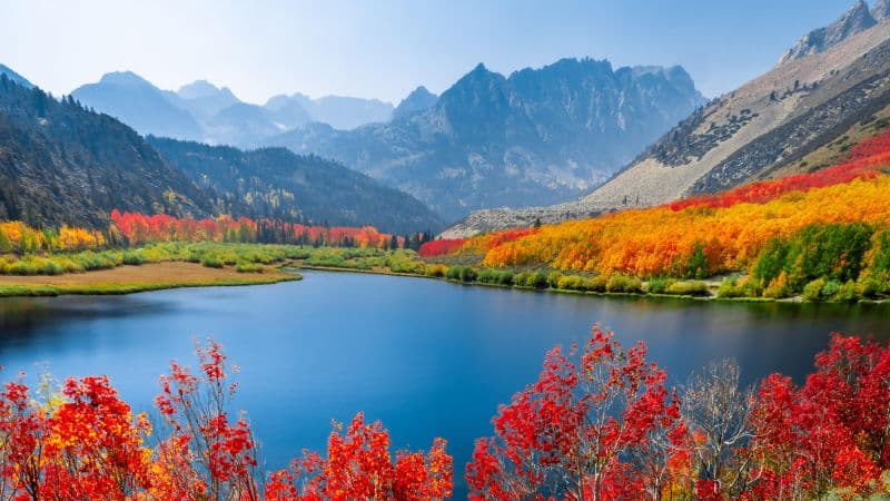 Autumn trees Lake Wallpaper