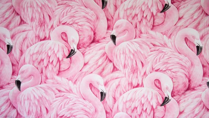 Pink Flamingos Painting Wallpaper