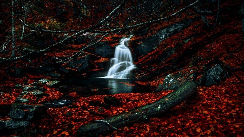 Waterfalls Autumn Wallpaper