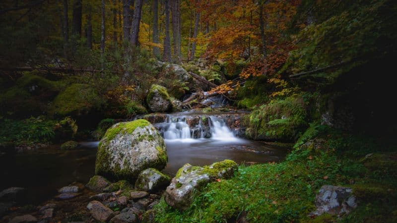 Waterfall Autumn Wallpaper
