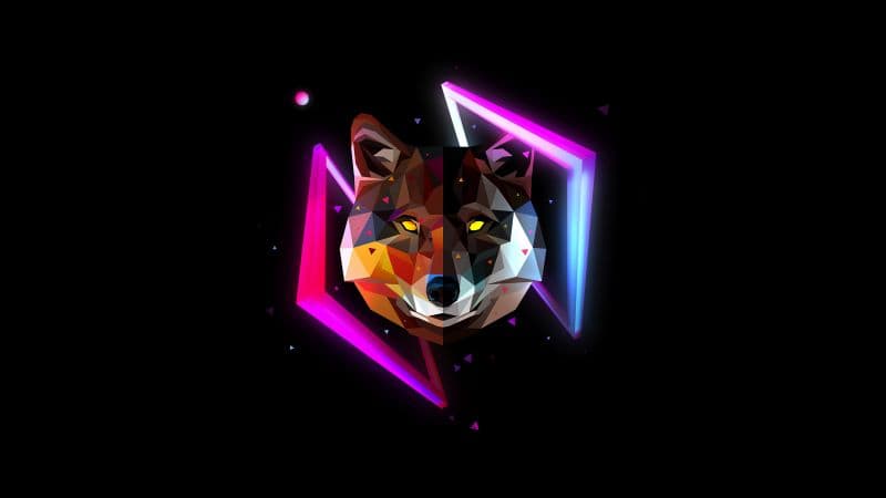 Wolf Wild Wallpaper