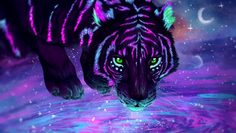 Tiger Neon Wallpaper