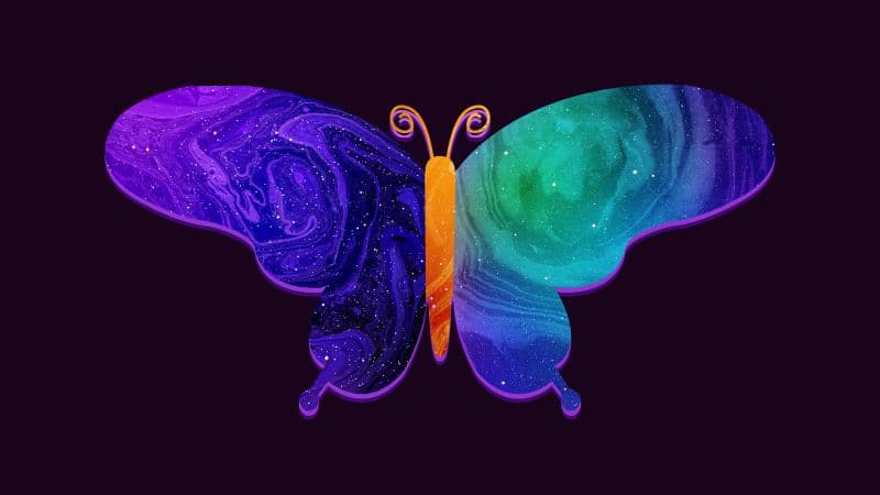 Butterfly Colorful Wallpaper