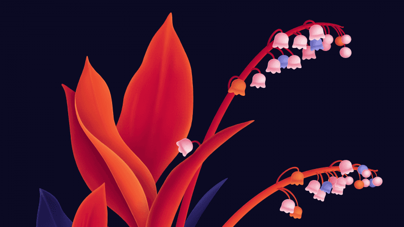 Lily flowers Digital Art Wallpaper