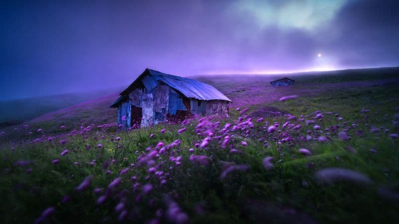 Landscape Spring Wallpaper