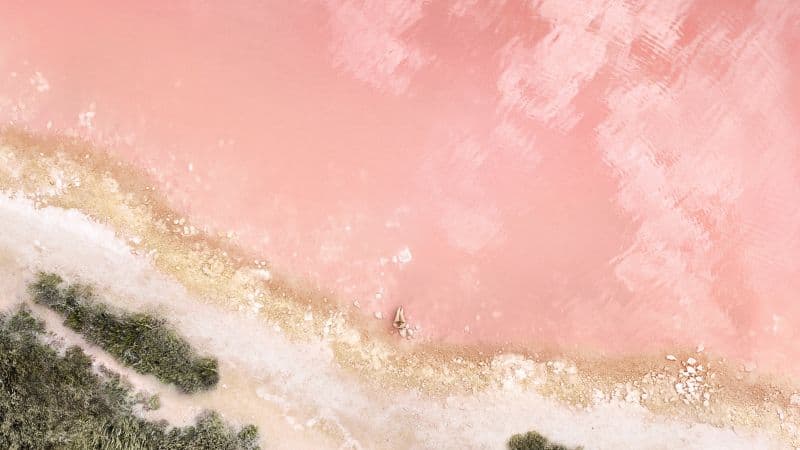 Lakeside Pink Wallpaper
