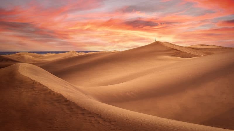 Desert Evening Wallpaper