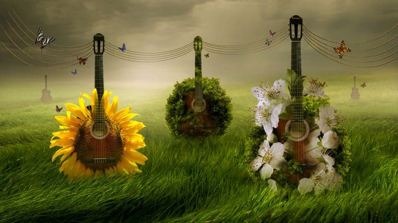 Guitars Green Grass Wallpaper