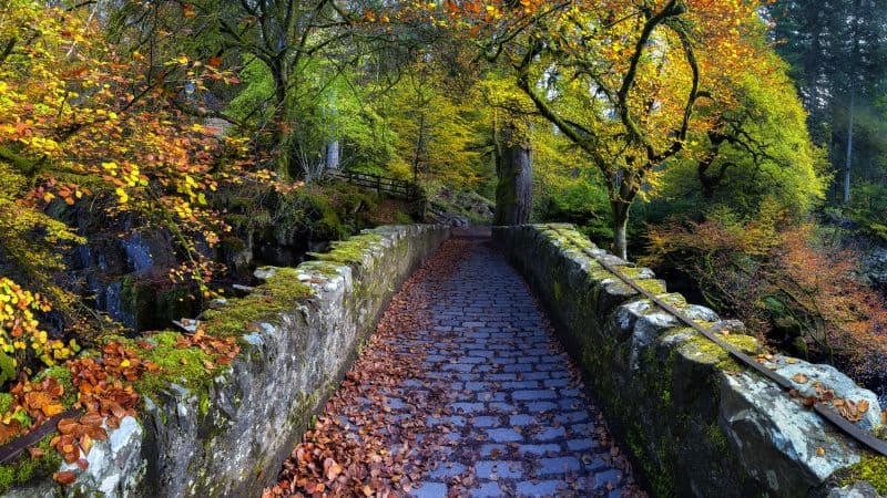 Old Bridge Over River Braan Hermitage Wallpaper