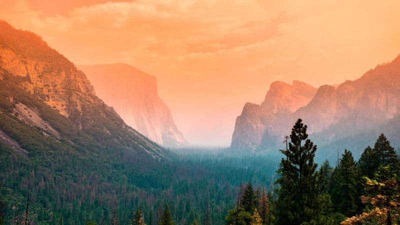 Yosemite Valley Summer Wallpaper
