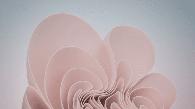 Windows 11 Light pink Abstract Stock Wallpaper