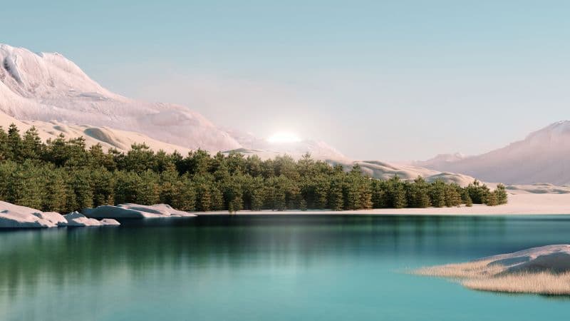 Windows 11 Forest Wallpaper