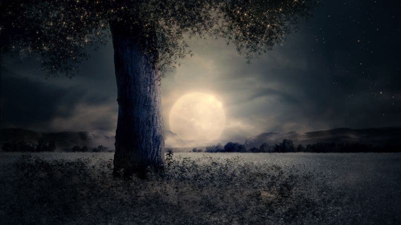 Full moon Night view Wallpaper