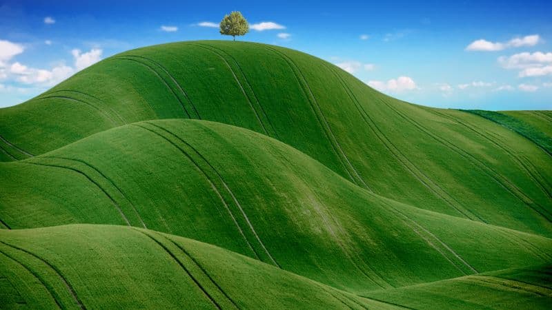Green Meadow Countryside Wallpaper