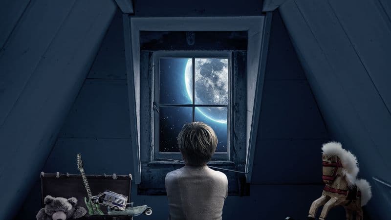 Look through the Window Full moon Wallpaper