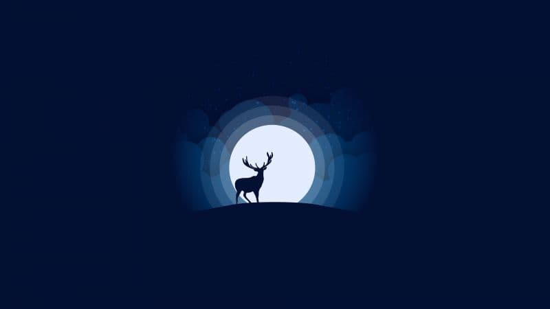 Deer Illustration Wallpaper