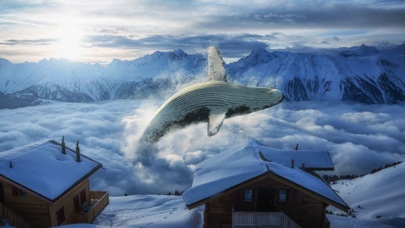 Whale Mountain range Wallpaper