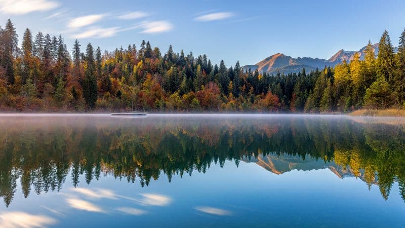 Crestasee Lake Autumn trees Wallpaper