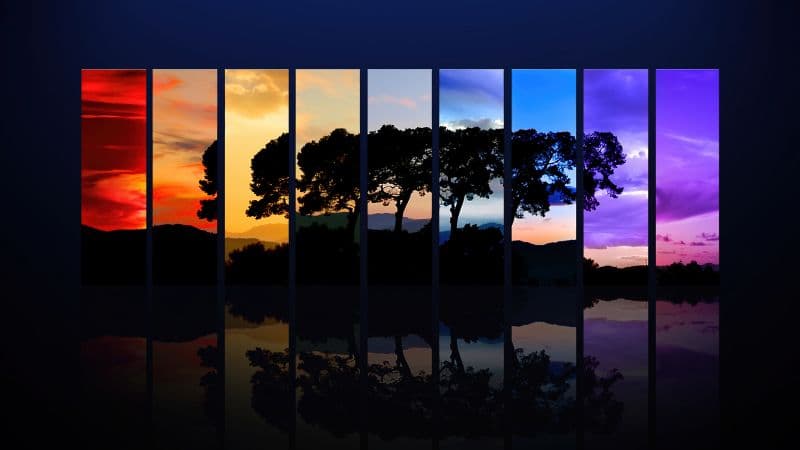 Tree Sunset Wallpaper