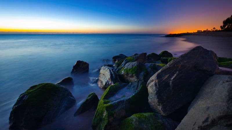 Palm Beach Tropical beach Wallpaper