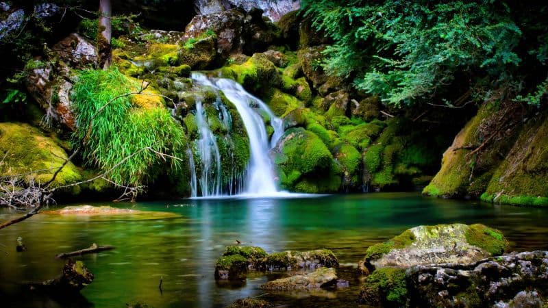 Tropical forest Waterfall Wallpaper
