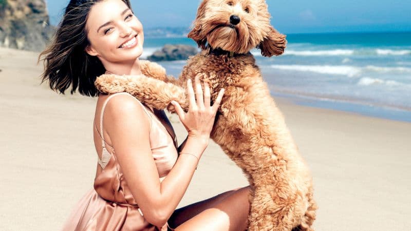 Miranda Kerr Pet dog Wallpaper