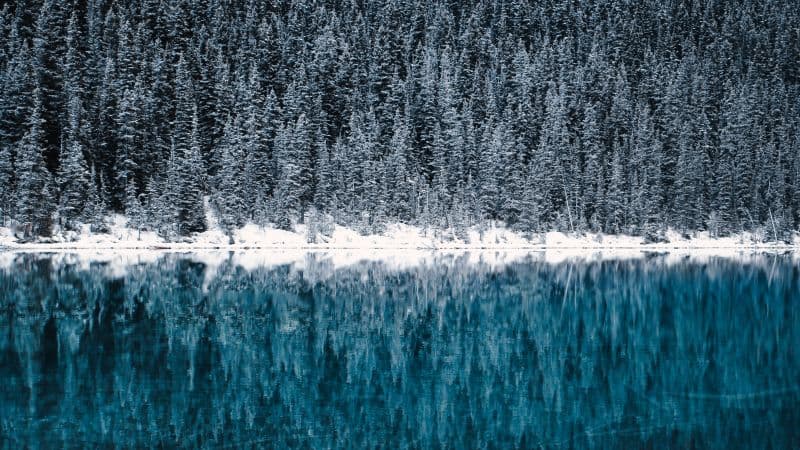 Lake Louise Winter Wallpaper