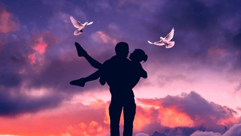 Couple White Pigeons Wallpaper