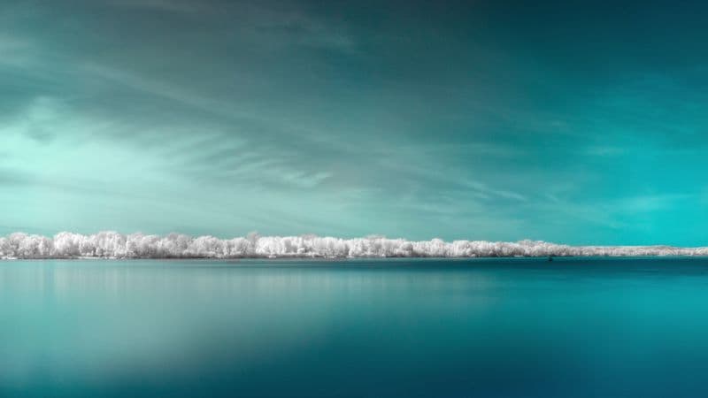 Infrared vision Panorama Wallpaper