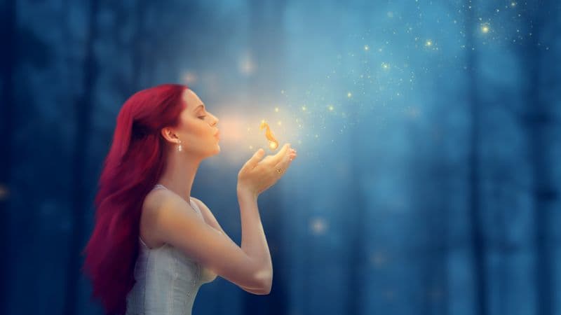 Fantasy girl Seahorse Wallpaper