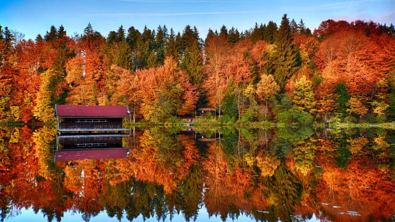 Autumn trees Mirror Lake Wallpaper
