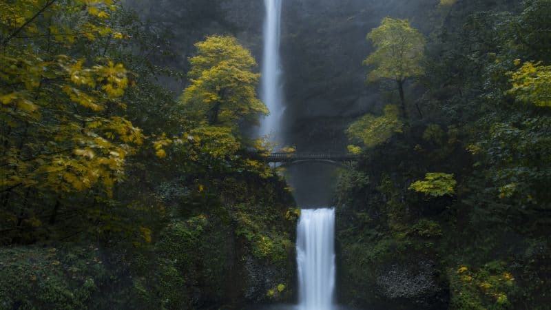 Multnomah Falls Oregon Wallpaper