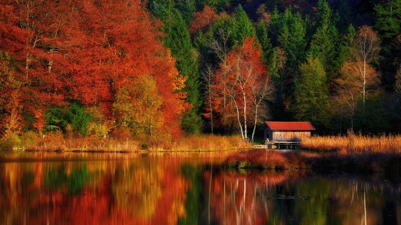 Autumn Scenery Lakeside Wallpaper