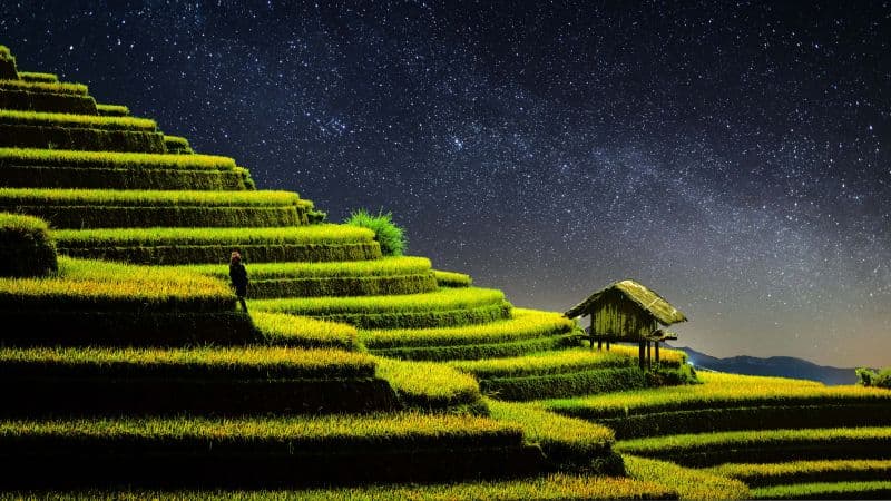Terrace farming Rice fields Wallpaper
