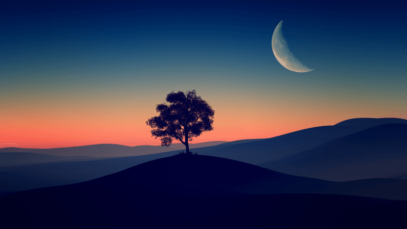 Solitude Tree Crescent Moon Wallpaper