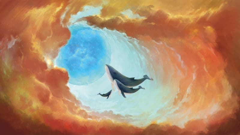 Whales Baby whale Wallpaper