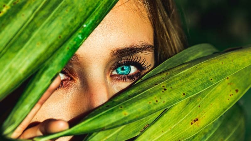 Blue eyes Green leaves Wallpaper