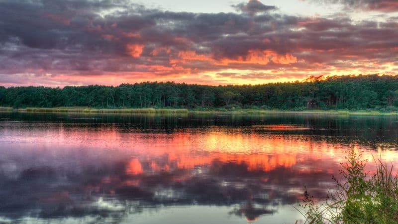 Huntington Beach State Park North Carolina Wallpaper
