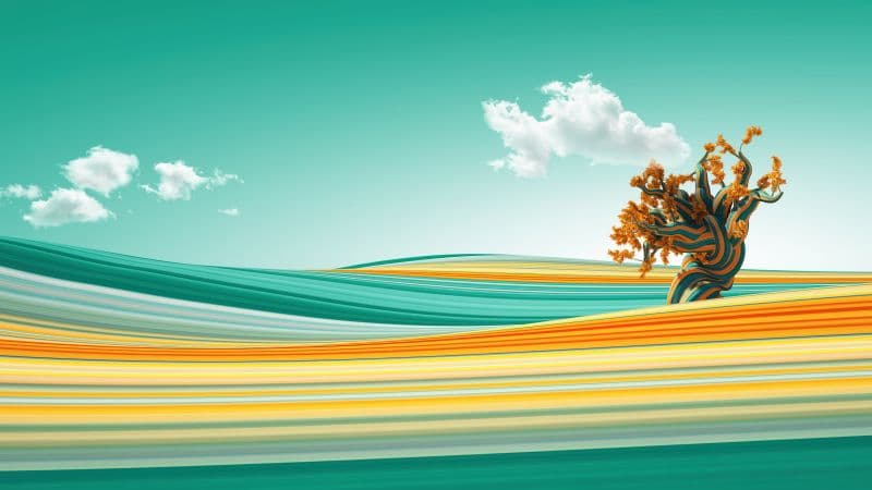 Lone tree Clouds Wallpaper